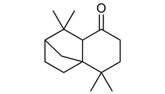 異長(cháng)葉烷桐