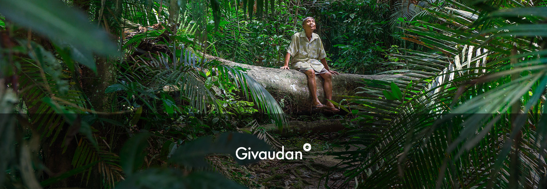 1,3,5-十一碳三烯